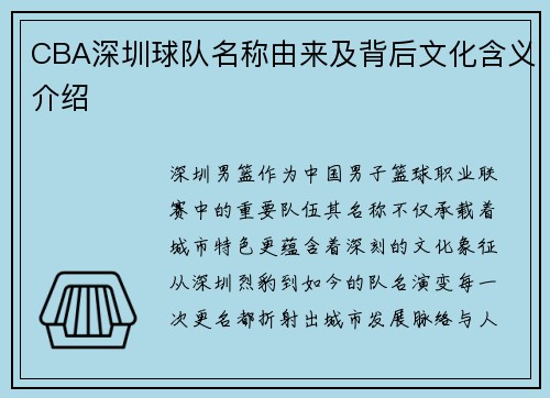 CBA深圳球队名称由来及背后文化含义介绍